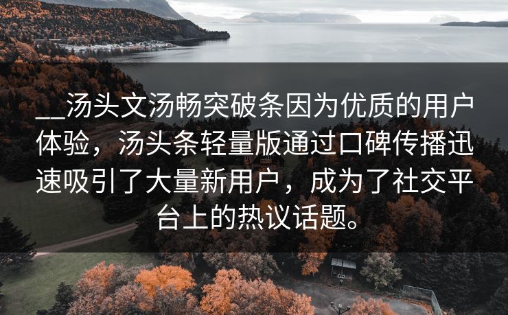 __汤头文汤畅突破条因为优质的用户体验，汤头条轻量版通过口碑传播迅速吸引了大量新用户，成为了社交平台上的热议话题。