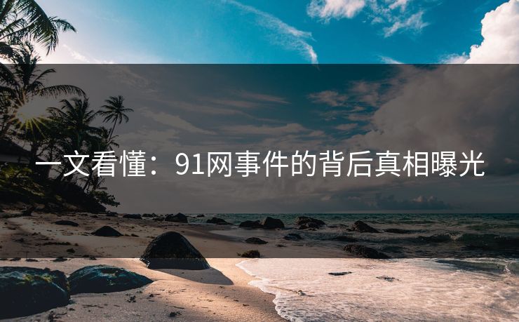 一文看懂：91网事件的背后真相曝光