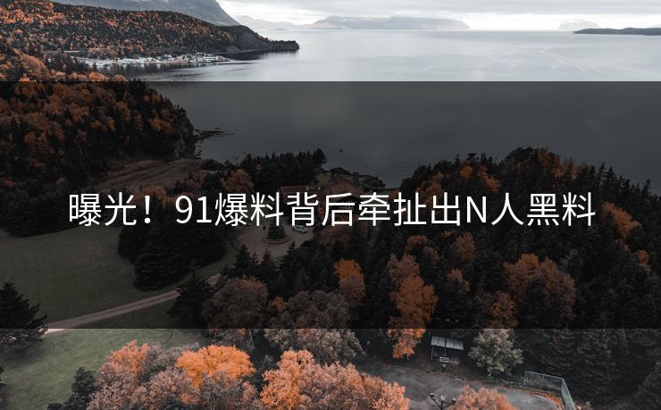 曝光！91爆料背后牵扯出N人黑料