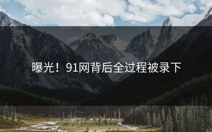 曝光！91网背后全过程被录下