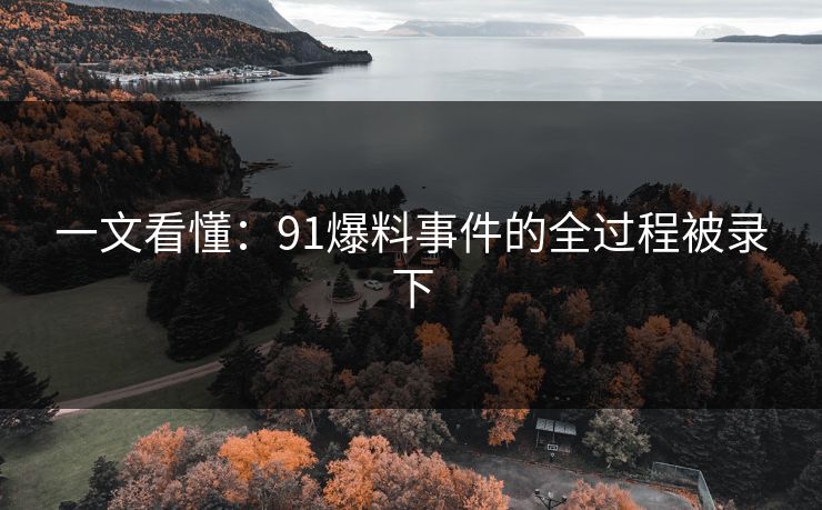 一文看懂：91爆料事件的全过程被录下