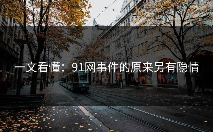 一文看懂：91网事件的原来另有隐情