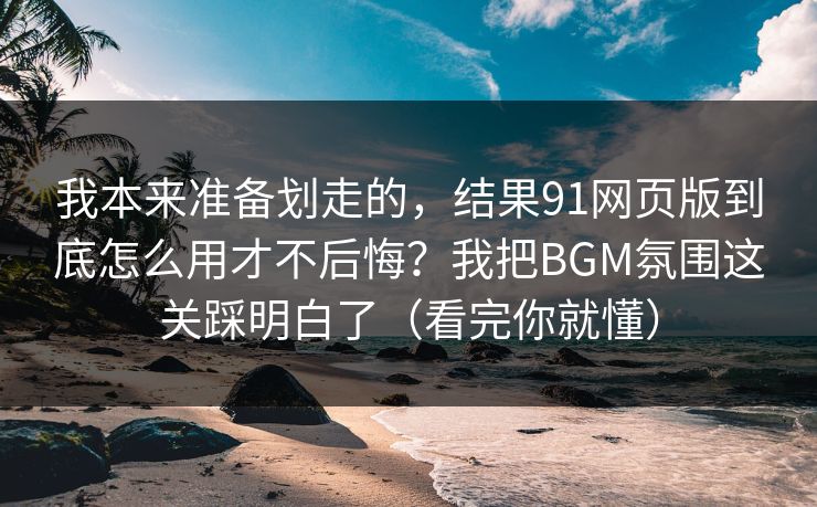 我本来准备划走的，结果91网页版到底怎么用才不后悔？我把BGM氛围这关踩明白了（看完你就懂）